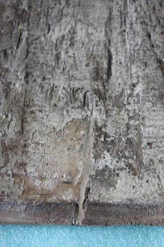 phoca_thumb_l_29.Pekniecie-wypelnione.jpg